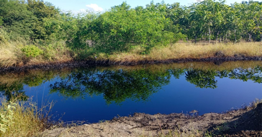 Pemex aplicará programa de limpieza por derrames de crudo en Altamira
