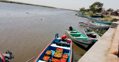 Afecta bajo nivel de laguna a 100 pescadores de Altamira