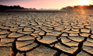 Coahuila, Nuevo León y Tamaulipas los más afectados por la sequía