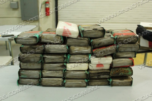 CBP del Puente de Comercio Mundial incautan narcóticos duros con valor de más de $ 11.4 millones de dólares