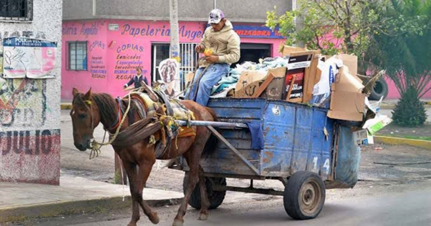Nuevo Le&oacute;n castigar&aacute; a quien use animales como carretoneros