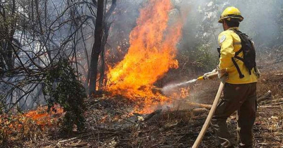 En seis meses se han presentado 12 incendios forestales en Tamaulipas