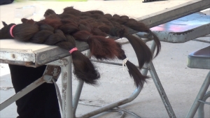 VIDEO Donan cabello para personas con cáncer en brigada de salud