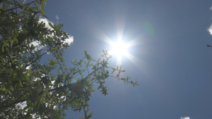 VIDEO Se registra primera muerte por golpe de calor en Nuevo Laredo