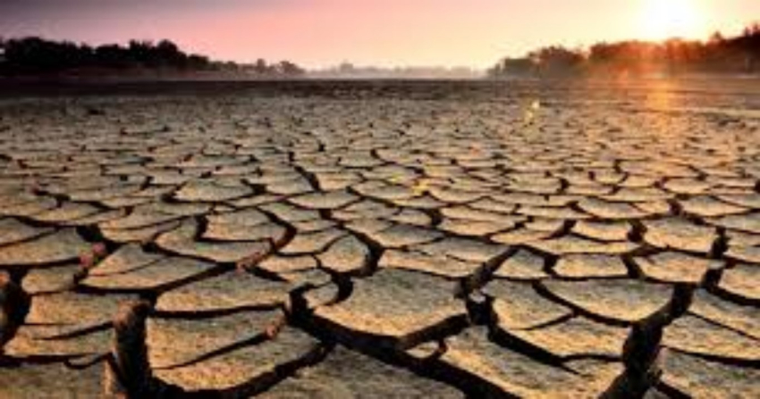 “Pega” sequía a 10 mil personas en el altiplano