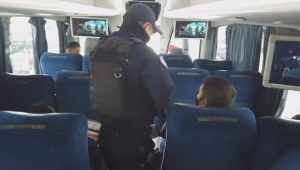 VIDEO Programa “Por Tamaulipas No” ha detenido a 654 migrantes en este 2022