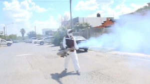 VIDEO Inicia Sector Salud fumigación contra dengue en colonias