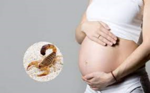 Mujer embarazada y su bebé fallecen por picadura de alacrán