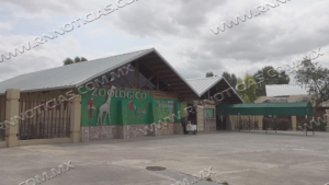 Zool&oacute;gico de Nuevo Laredo espera nacimiento de un canguro y una cebra