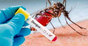 Reportan 183 casos de Dengue en México en este 2022: Ss