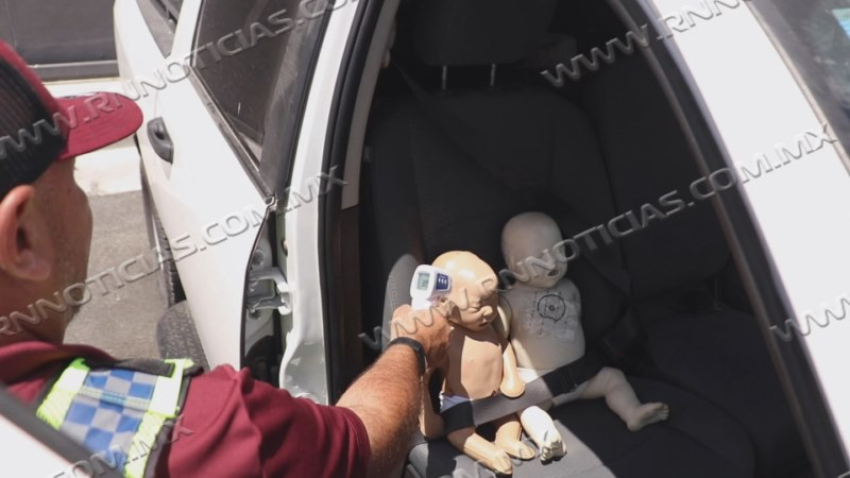 Dejar a niños o mascotas dentro del auto con altas temperaturas podría ser mortal; PC