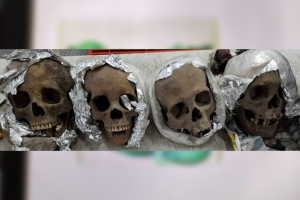 GN asegura 4 cráneos humanos en aeropuerto de Querétaro