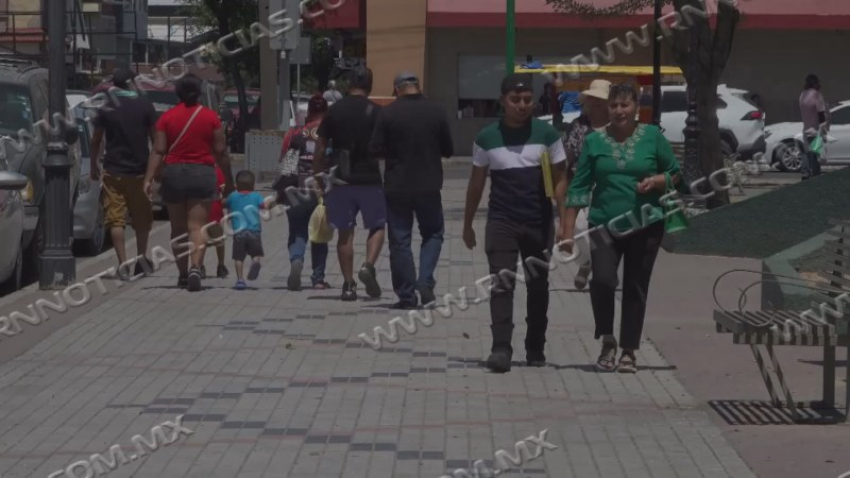 Exhortan a proteger heridas en personas y mascotas para prevenir el gusano barrenador