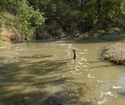 Demandan por contaminar el Río San Felipe