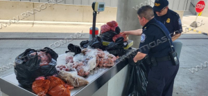 CBP descubre casi 125 libras de carne de cerdo dentro del vehículo; Especialistas en Agricultura emitir una multa civil de $1,000 en el puente Juárez-Lincoln