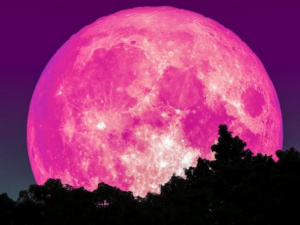Prepárate, ya se acerca la Súper Luna de Fresa, será la más grande y colorida del año