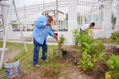 GOBIERNO MUNICIPAL TRANSFORMA &Aacute;REAS VERDES CON JARDINES QUE PROTEGEN ABEJAS Y MARIPOSAS