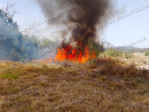 Fuertes vientos provocan m&aacute;s de una docena de incendios en Nuevo Laredo