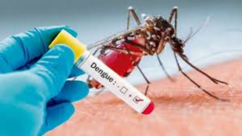Registra SST 101 casos de dengue