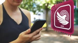 As&iacute; puedes saber si tu celular es compatible con el internet de la CFE y con el chip Bienestar