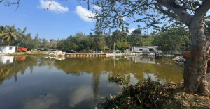 Implementa Gobierno del Estado campa&ntilde;a de uso responsable del agua ante temporada de estiaje