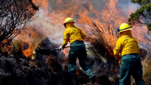 Ola de calor aumenta a 72 los incendios forestales en México