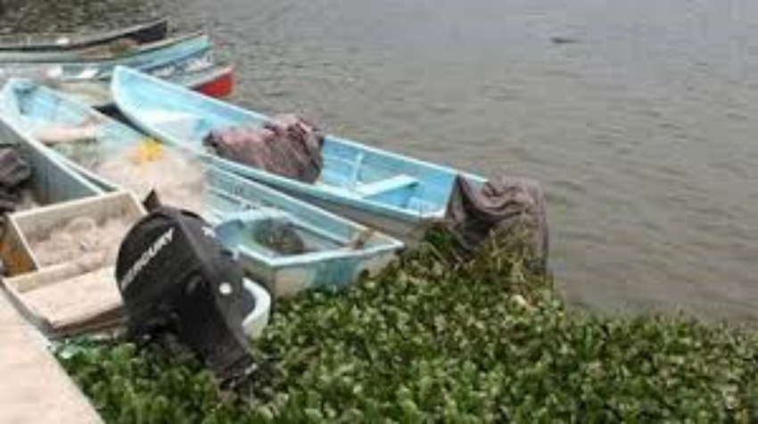Pesca en Champayán tardará dos meses en recuperarse