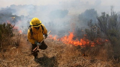 Tamaulipas suma tres incendios forestales