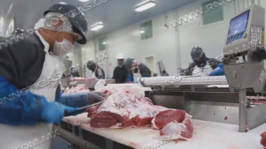 Campaña de “Consumo de carne local” con resultado positivos