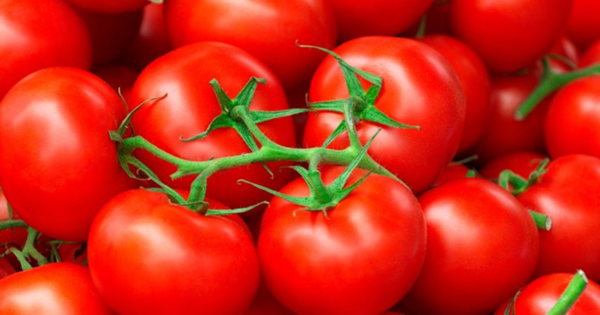 EU anuncia que impondr&aacute; arancel de 20.91% a los tomates mexicanos