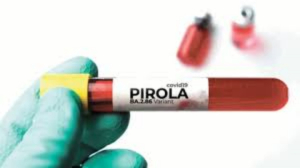Esto es lo que se sabe de ‘Pirola’ la variante de Covid-19 en México