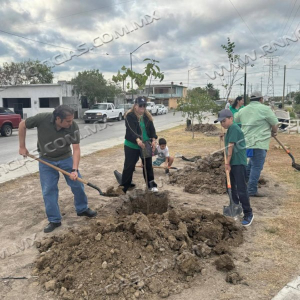 REALIZA GOBIERNO MUNICIPAL JORNADA DE REFORESTACI&Oacute;N EN EL BOULEVARD LAS TORRES