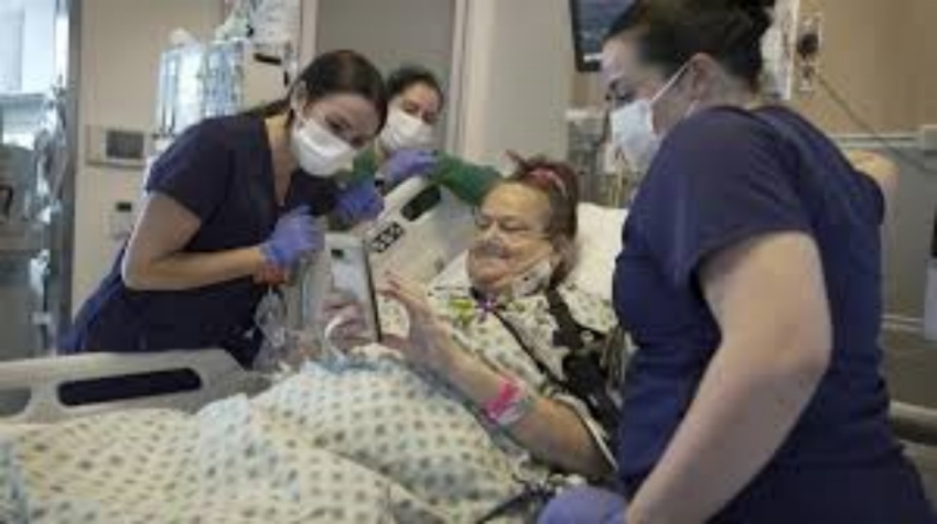 Trasplante de riñón de cerdo le salvó la vida a mujer en NY