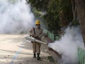 M&eacute;xico suma m&aacute;s de 53 mil casos de dengue