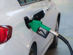 SHCP incrementa estímulos a gasolinas; esto costará el litro de combustible