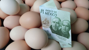 Banxico actualiza pronósticos al alza para 2022; seguirá la inflación