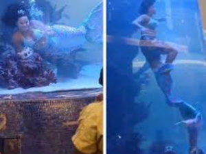 Mujer disfrazada de sirena por poco muere ahogada durante el espectáculo