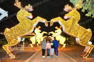 Invita Gobierno Municipal Al Viveros M&aacute;gico; Un Espacio Gratuito Para Celebrar La Navidad En Familia.