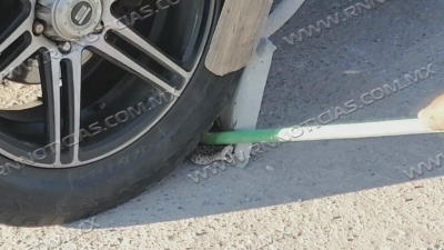 Bajan reportes por aparici&oacute;n de v&iacute;boras en Nuevo Laredo