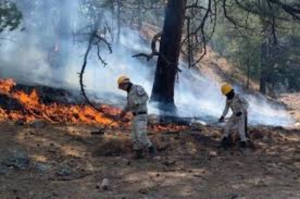 Hay 106 incendios forestales activos en 22 estados