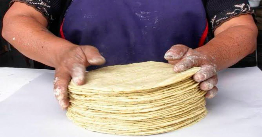 Evalúan alza a las tortillas