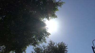 VIDEO Continúa canícula con calor y bochorno en  Nuevo Laredo