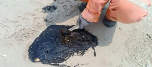 Investigan presencia de hidrocarburo en playas de Altamira y Madero