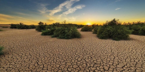 Sequía aumentó en México durante junio; 70.75% está afectado