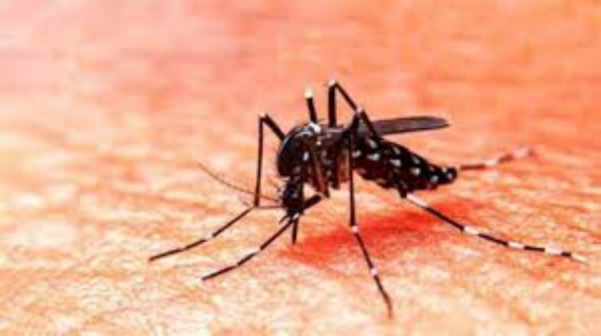 Aumenta a 70 casos de dengue con un deceso