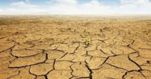 Sequ&iacute;a persiste en M&eacute;xico a pesar de lluvias: UNAM