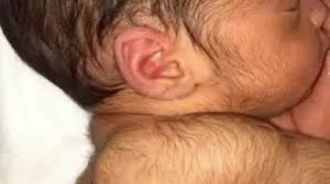 estas son las caracter&iacute;sticas de la generaci&oacute;n que nazca en 2025