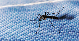En an&aacute;lisis cinco casos sospechosos de dengue en Tampico y Ciudad Madero