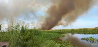Registra laguna de Champayán dos incendios de tular