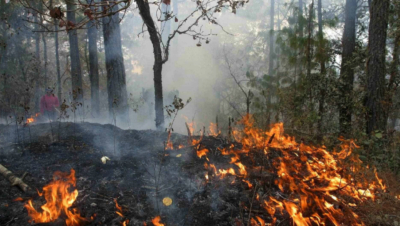 Dos incendios han quemado hasta 60 hectáreas en la sierra